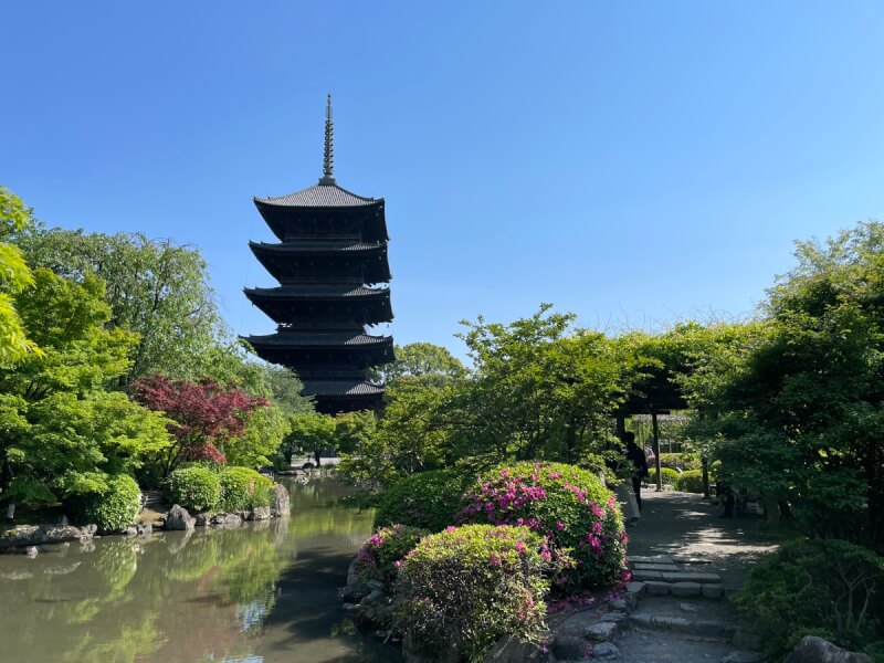 瓢箪池越しに見た東寺の五十塔