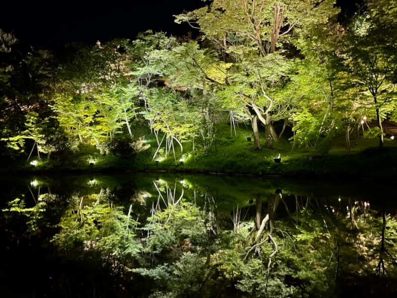 夜の高台寺の池に映る青もみじ