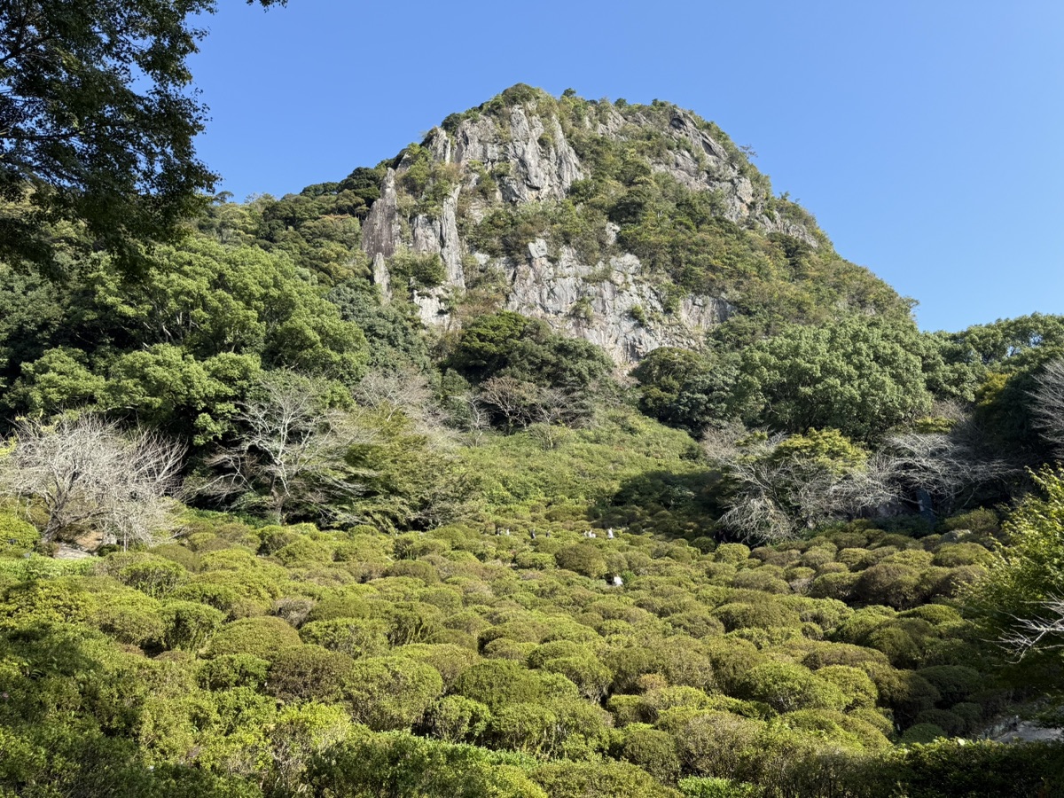 御船山楽園のツツジの森と断崖絶壁の山の景色