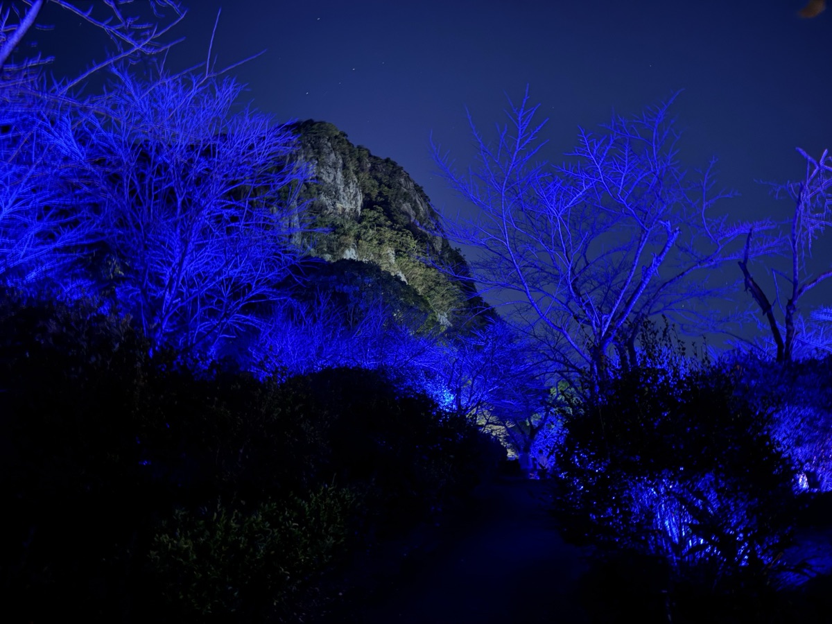 御船山楽園ホテル
かみさまがすまう森の風景