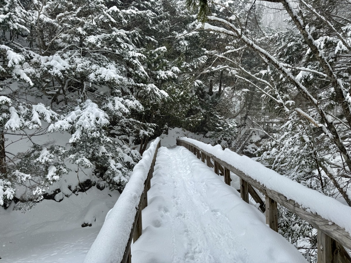 善五郎の滝の近くにある橋