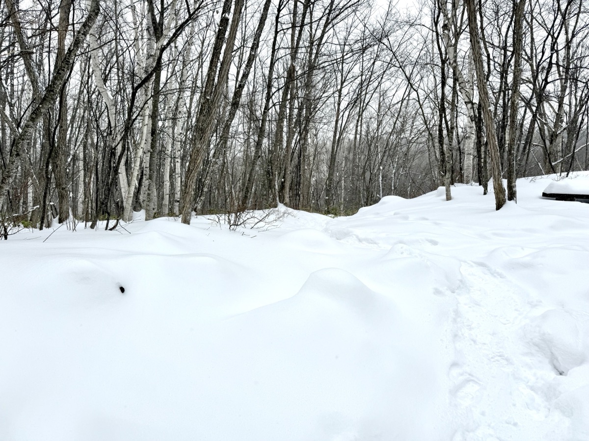 善五郎の滝に向かう道が雪に埋もれている様子