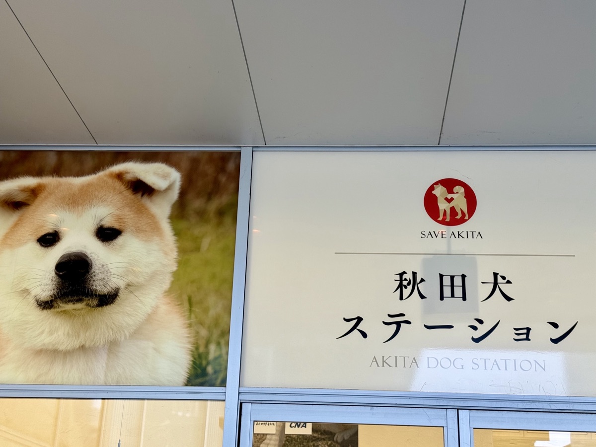 秋田犬ステーションの看板