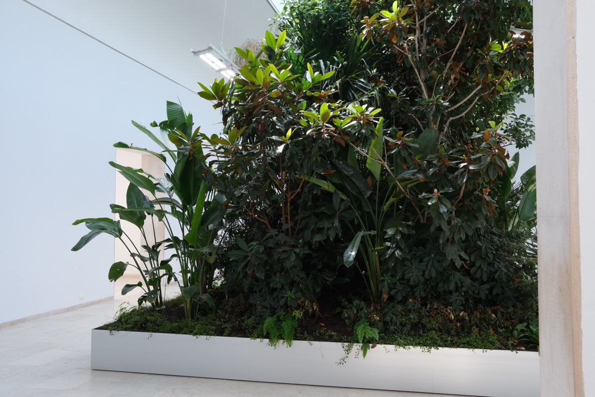 ヴェネツィア・ビエンナーレ ベルギー館の展示