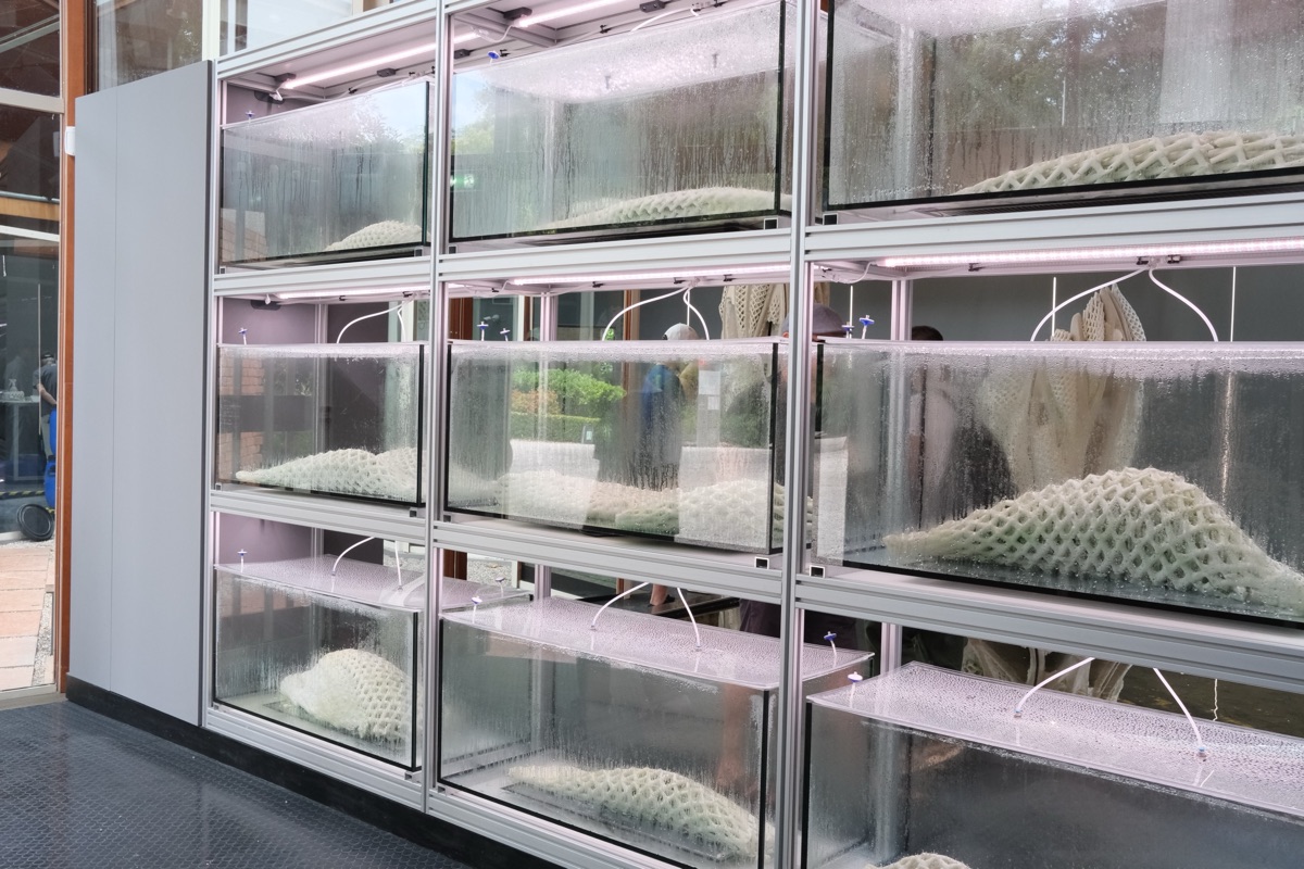 ヴェネツィア・ビエンナーレ カナダ館の展示