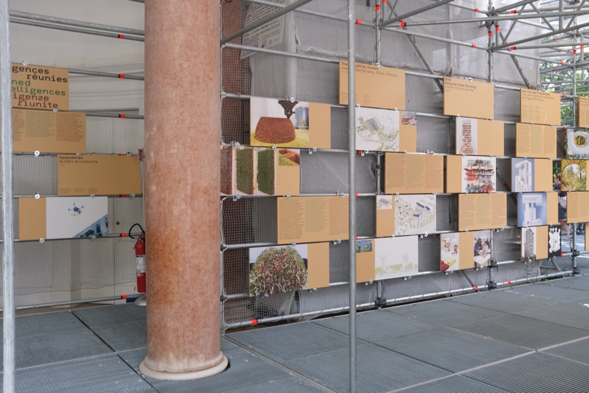 ヴェネツィア・ビエンナーレ フランス館の展示