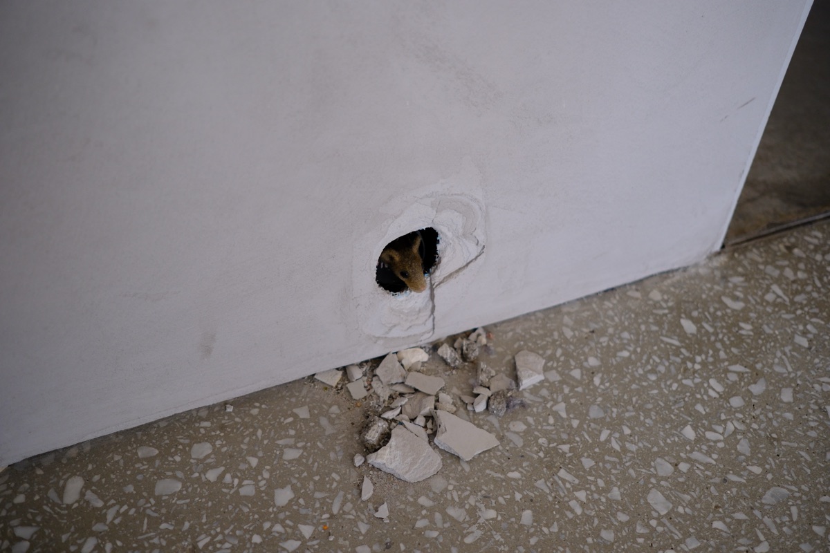 2000年の協働（2000 Year Collaboration (The Prophet)）