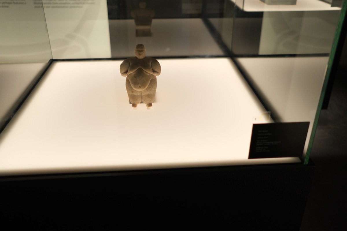 ファルネーゼ家の鳥舎に展示されていたもの