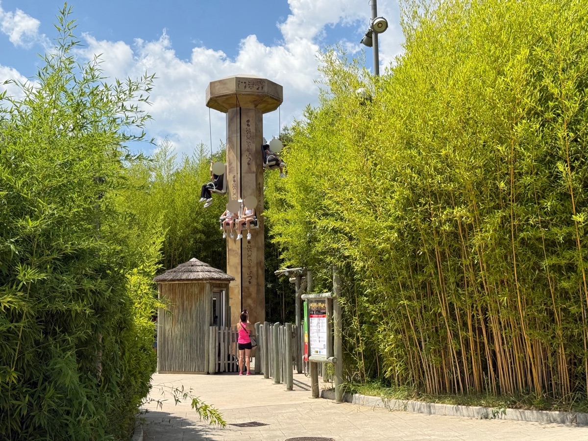 ピラストロ・マージコ