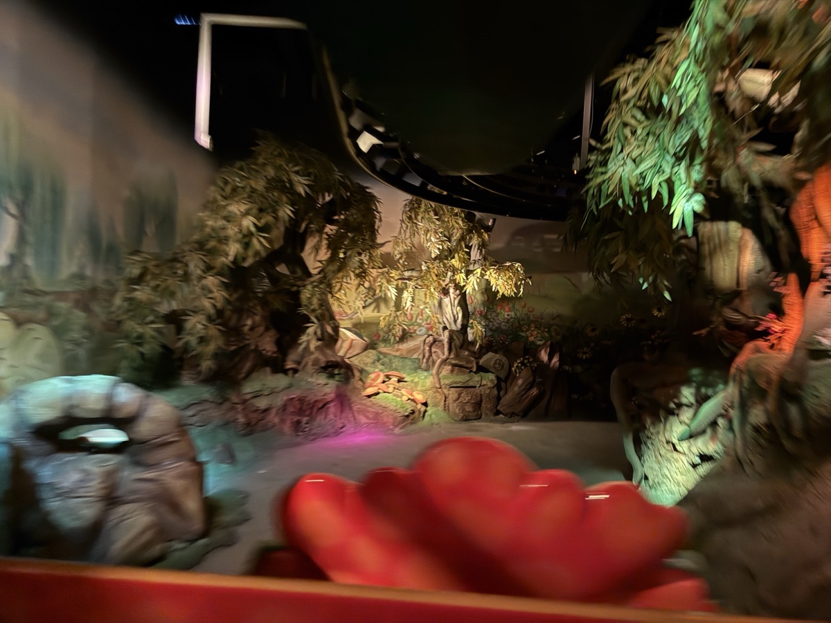 マジック・ウィンクスのライドの中