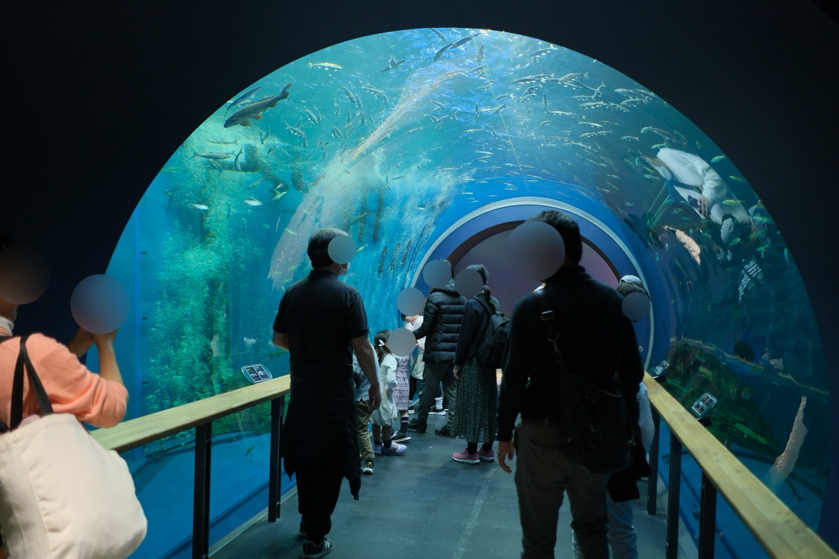 水族展示室のトンネル