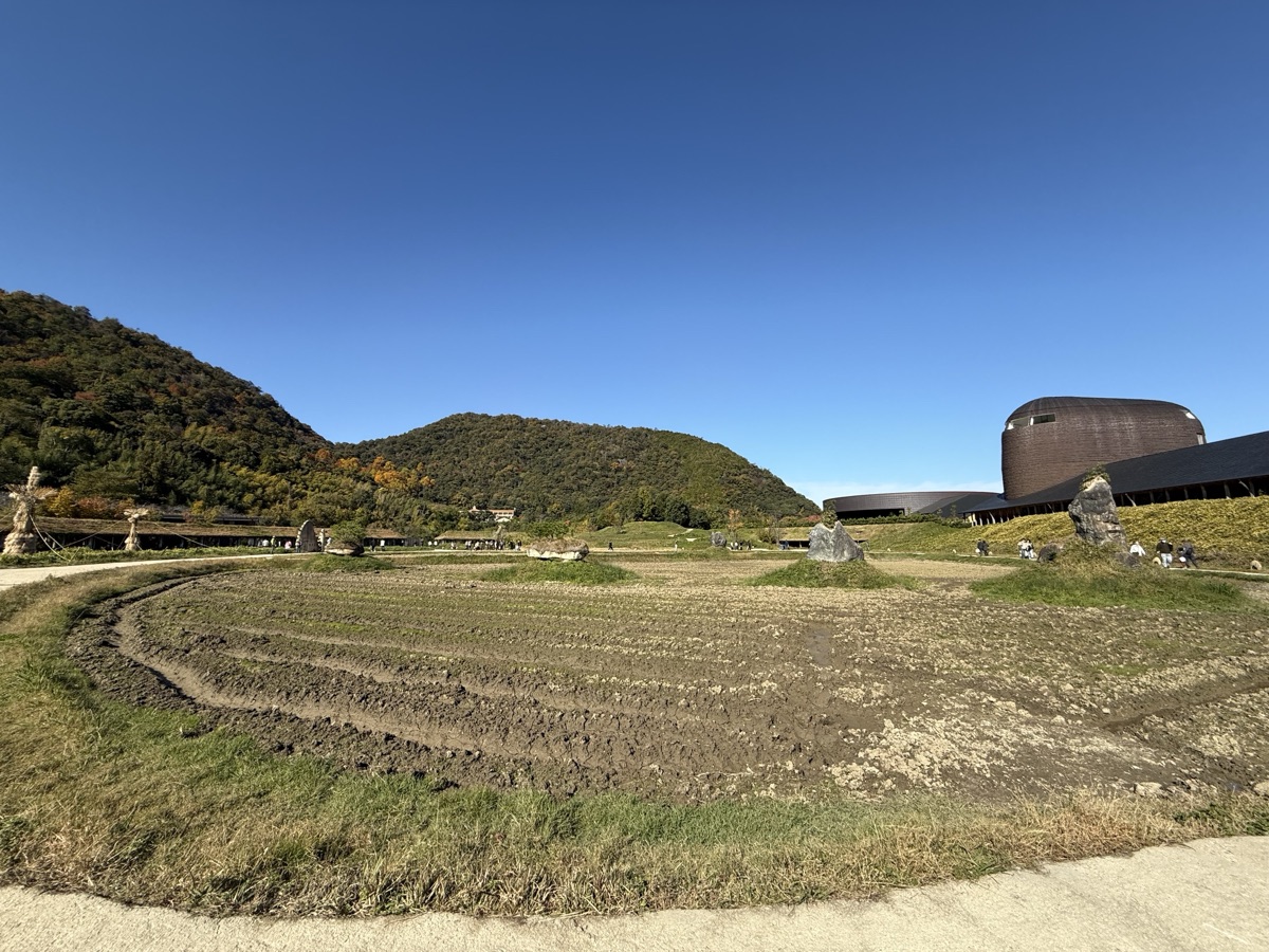 ラ コリーナ近江八幡の水田と本社