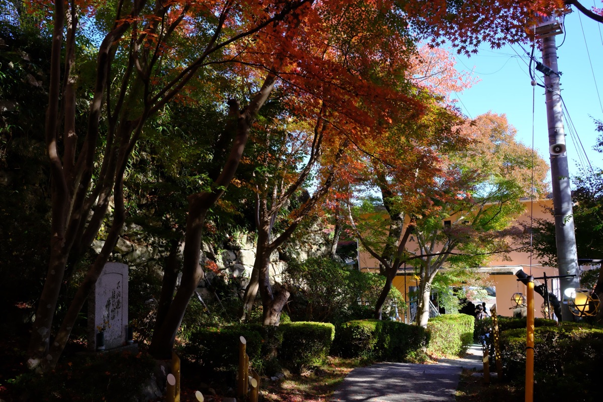 八幡山の紅葉