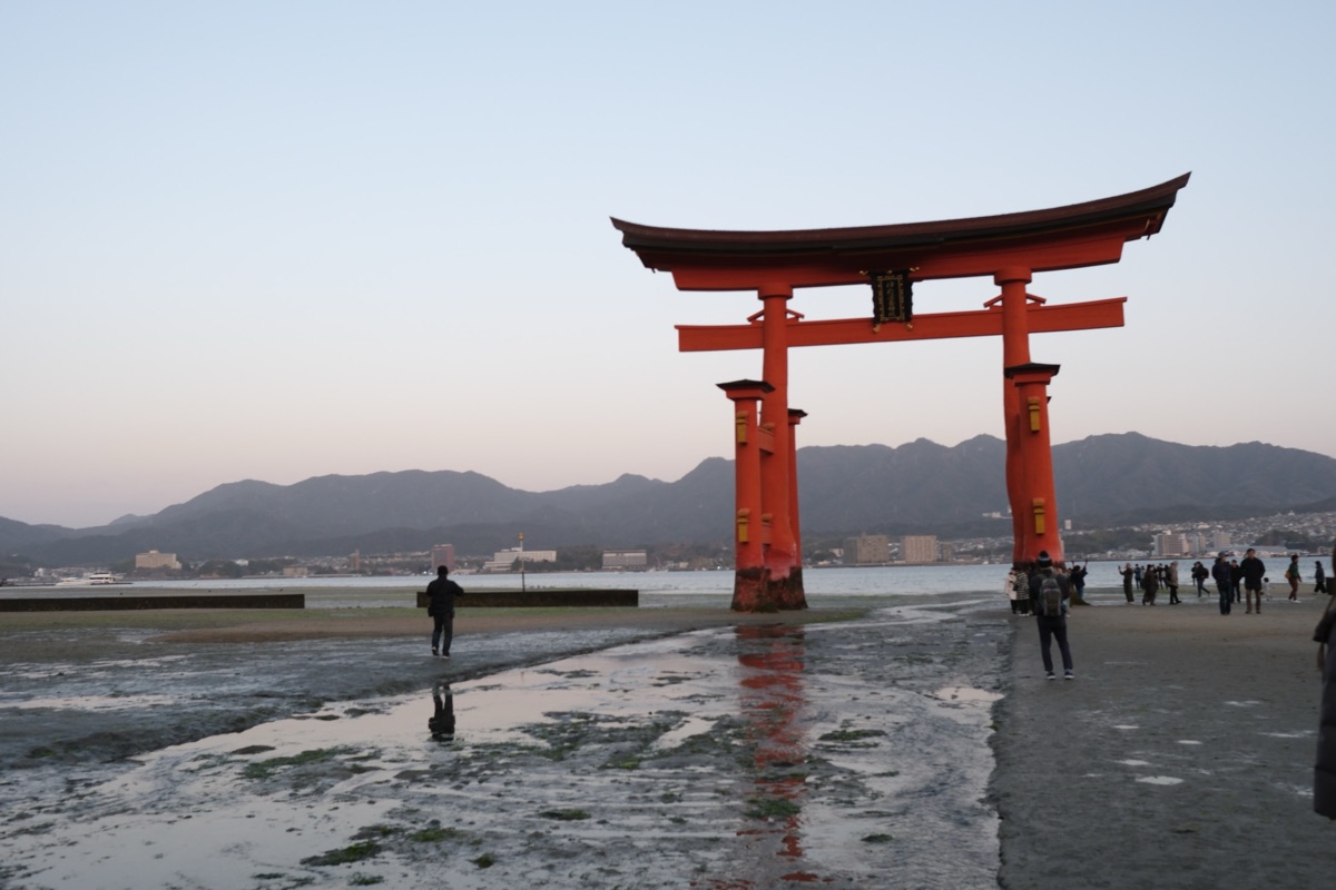 朝の嚴島神社　大鳥居