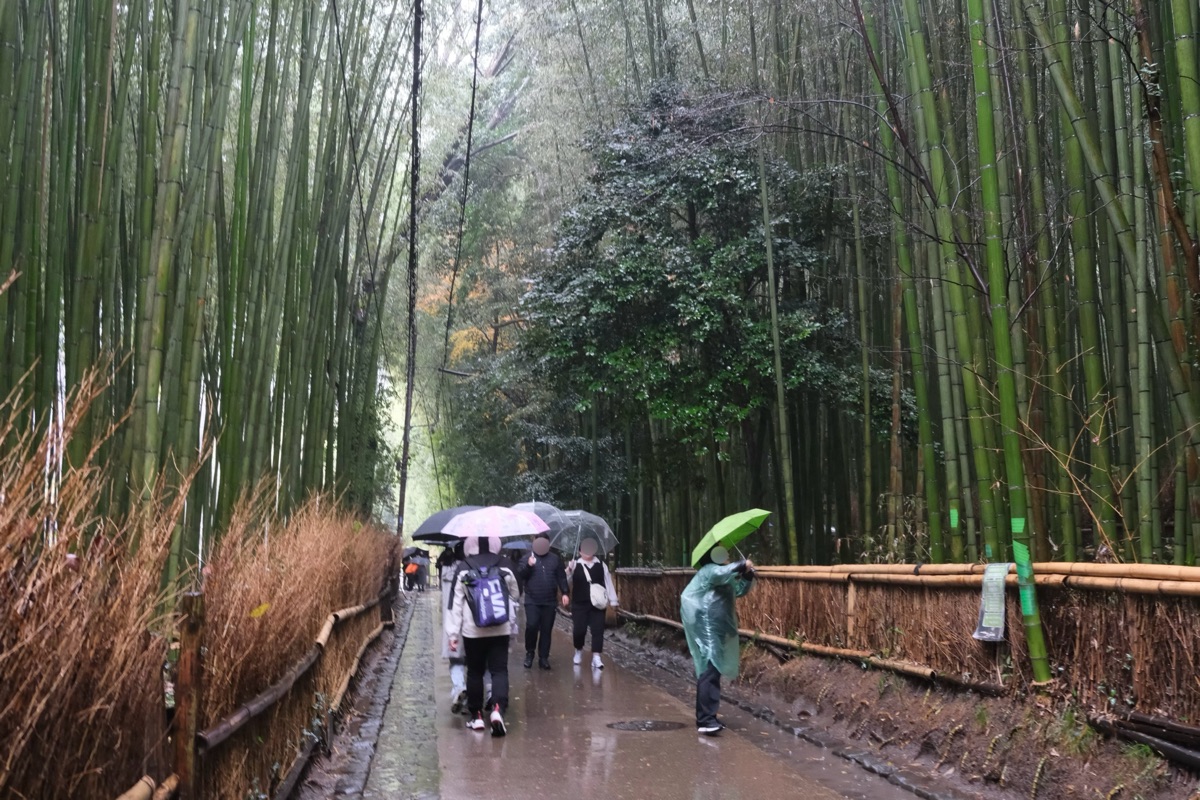 嵐山竹林の小径