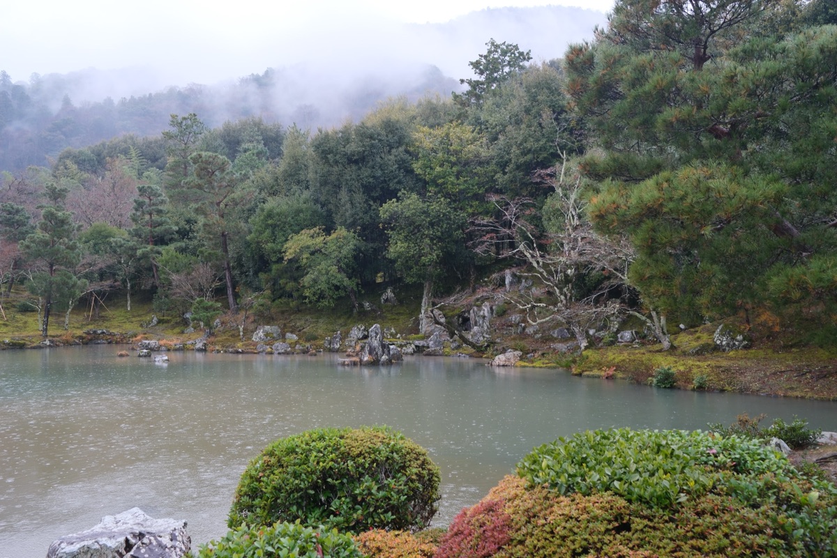 天龍寺の池
