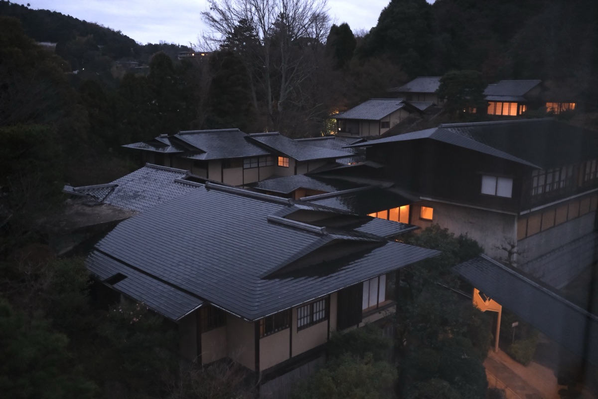朝の桂水園の眺め